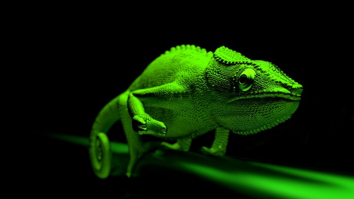 Green Chameleon on a Branch