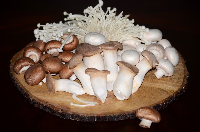 Assortment of mushrooms on a wooden board
