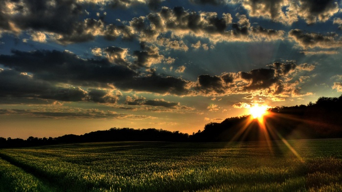 Sunset over a field with dramatic clouds