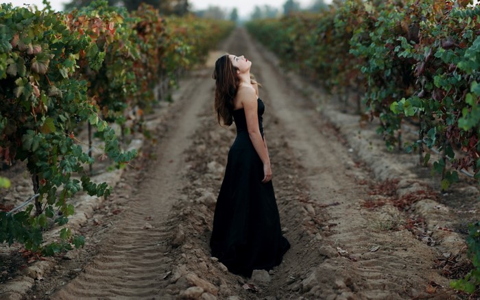 Woman in black dress in a vineyard