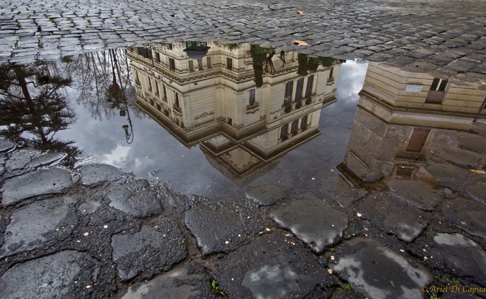 Reflection of building and trees in a puddle on cobblestone street