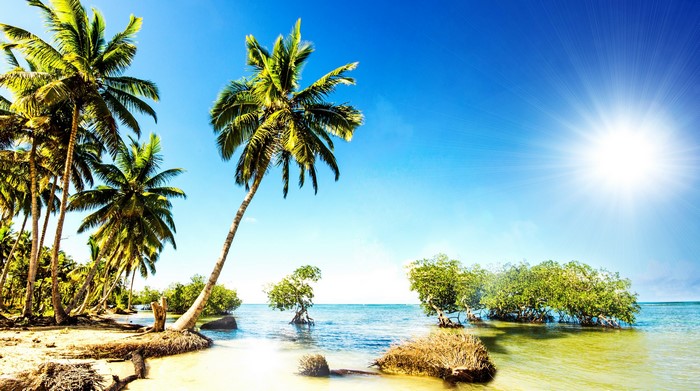 Tropical beach with palm trees and bright sun