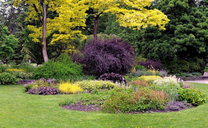 Garden with colorful shrubs and trees