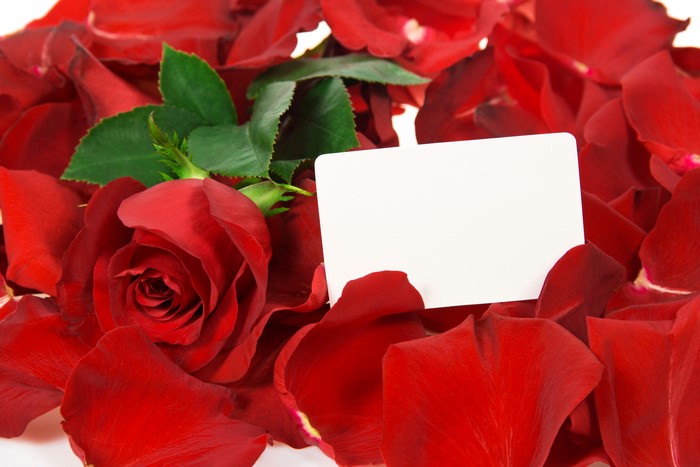 Red Rose with Blank Card Surrounded by Petals