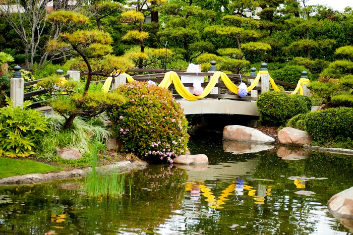 Japanese Garden with Bridge and Pond in California