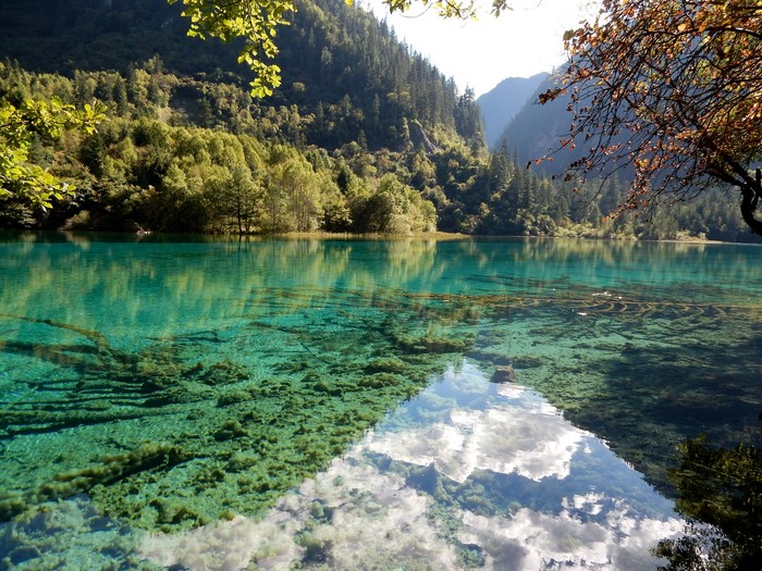 Jiuzhaigou National Park Lake with Forested Mountains