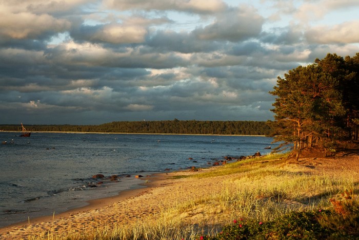 Beach with trees and a cloudy sky in Lohusalu, Estonia