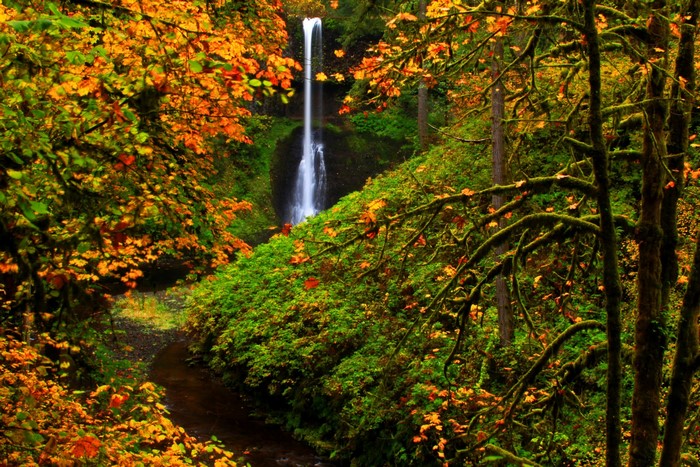 Waterfall in Silver Falls State Park during Autumn