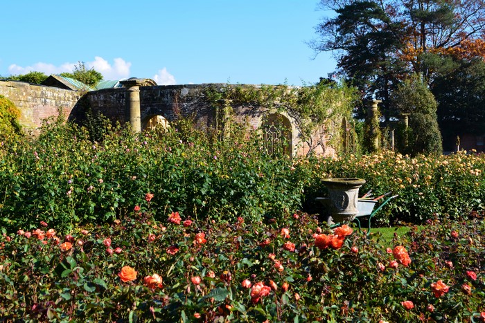 Hever Castle Gardens England Roses and Shrubs