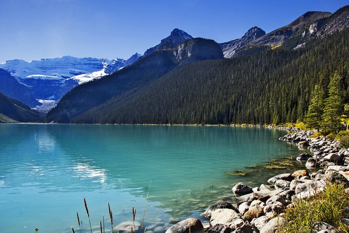 Lake Louise Alberta Canada Mountains Forest Stones