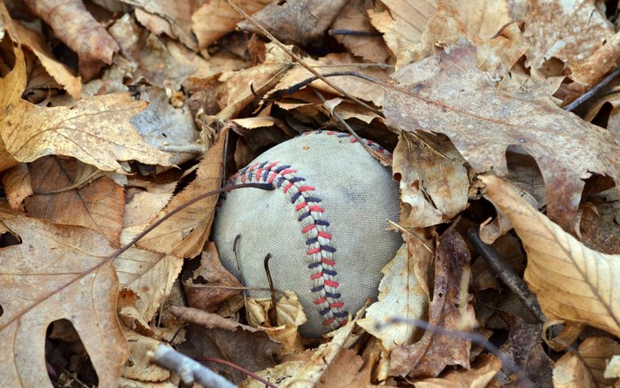 Baseball nestled in fallen autumn leaves