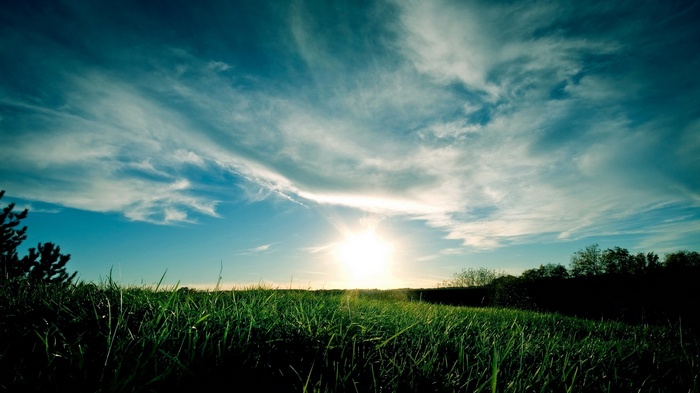 Sun setting over a grassy field with trees
