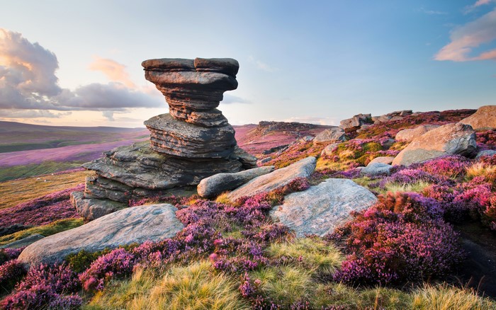 Derwent Edge, United Kingdom Scenery with Stones and Grasslands