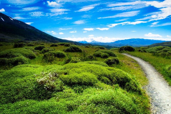 Patagonia Scenery with Grass and Trail