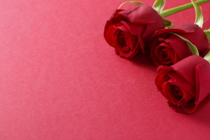 Three Red Roses on Wine Color Background