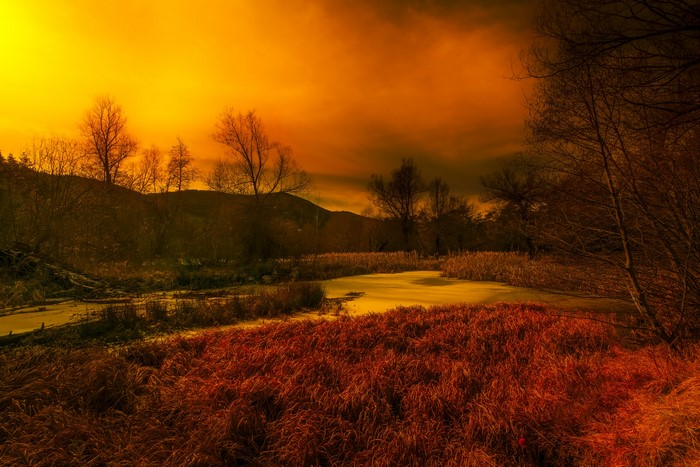 Autumn landscape with swamp and trees under orange sky