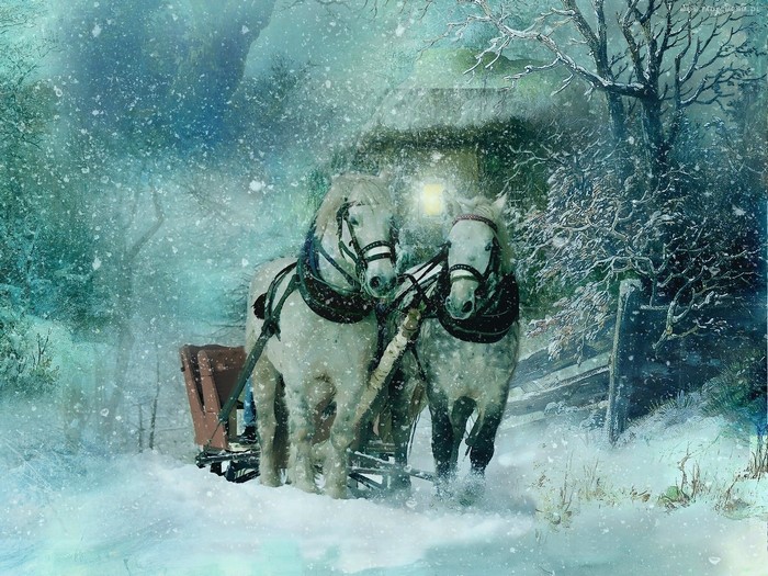 Two white horses pulling a sleigh in the snow