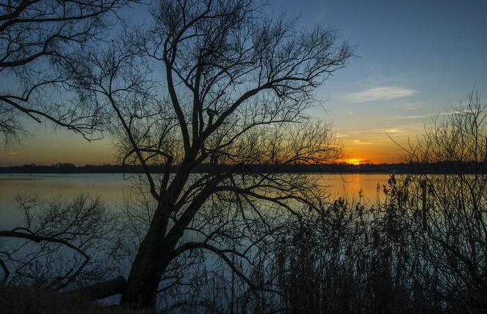 Sunset over a lake with silhouetted trees