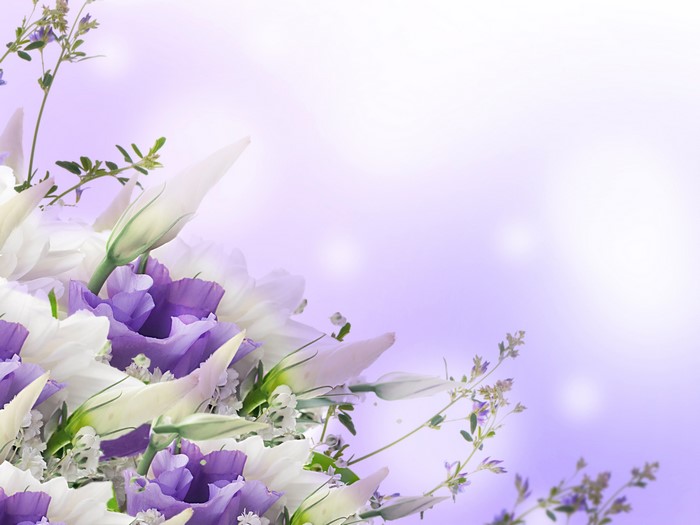 Purple and white flowers with green stems