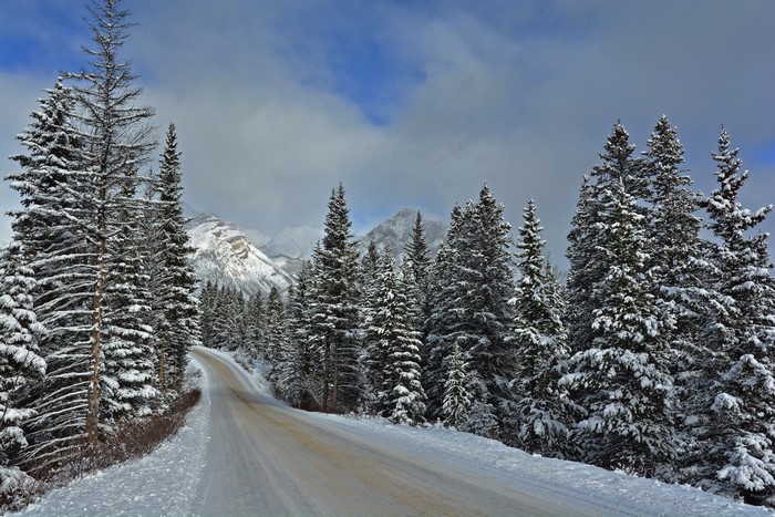 Snowy Road Through Banff National Park with Mountains