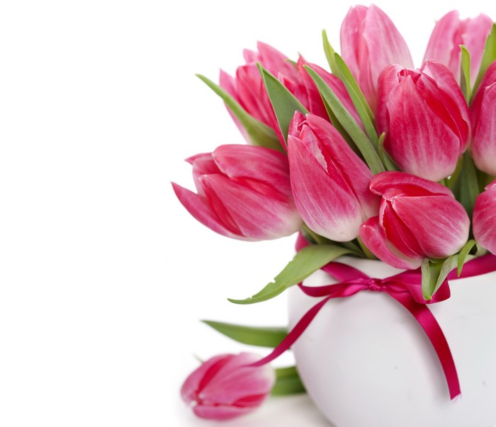 4K Closeup of Wine Color Tulips in White Vase