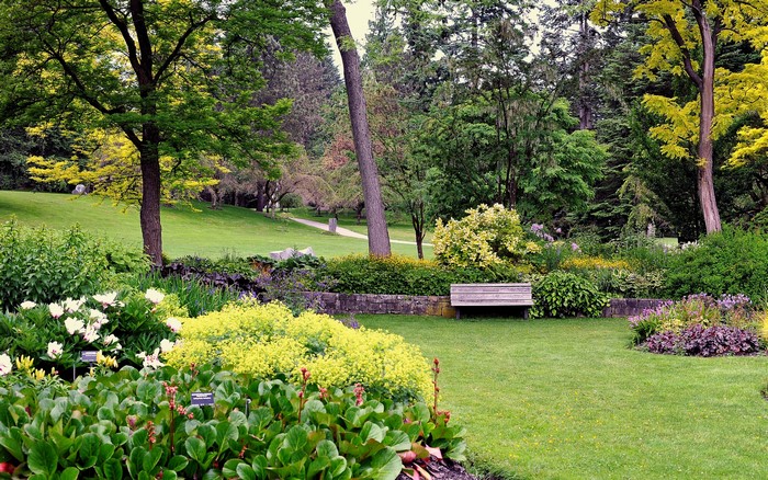 VanDusen Botanical Garden with Trees, Shrubs, and Lawn