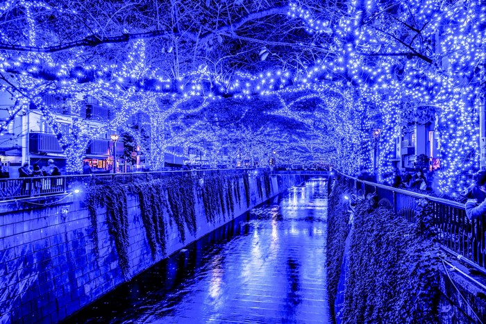 Canal decorated with blue fairy lights at night in Tokyo, Japan