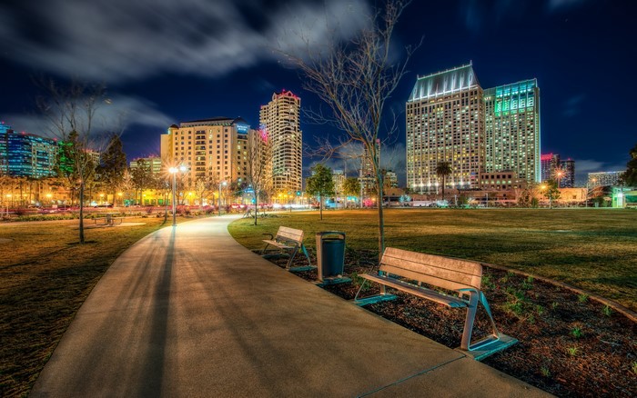 San Diego Park at Night with City Skyline