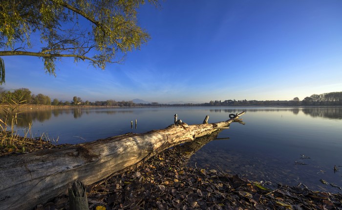 4K Lake Scenery with Tree Trunk in Peschiera del Garda, Italy