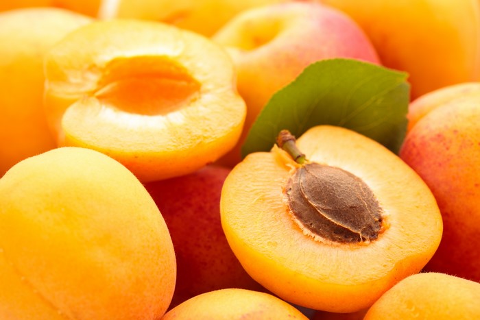 Apricots closeup
