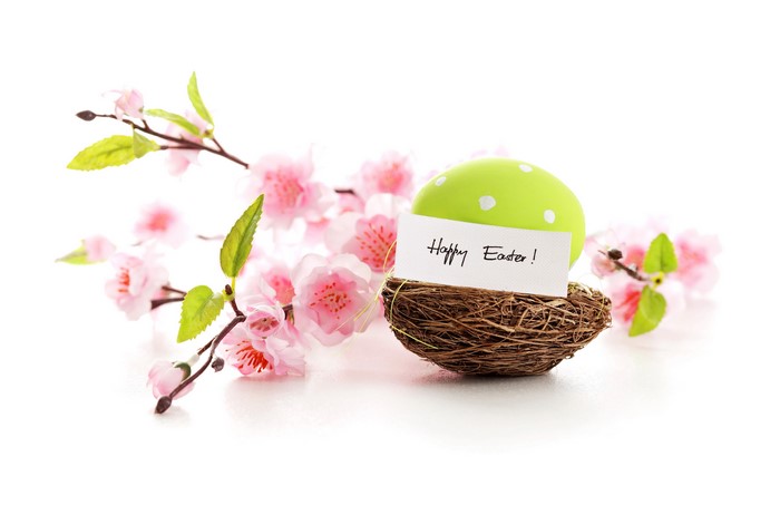 Easter egg in a nest with cherry blossoms
