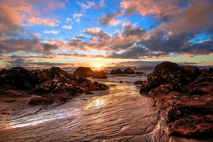 Sunset over rocky coast with dramatic clouds