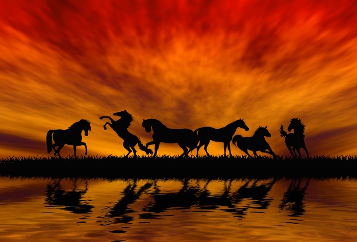 Horses silhouetted against a sunset
