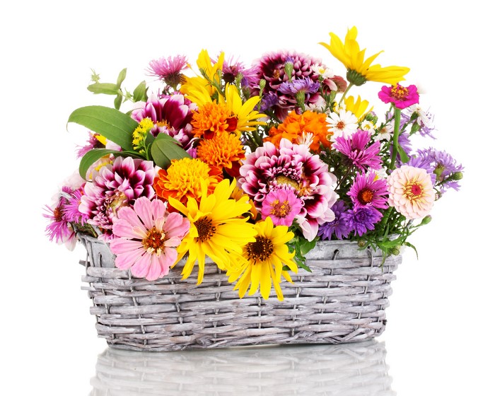 Basket of Asters, Dahlias, and Zinnias