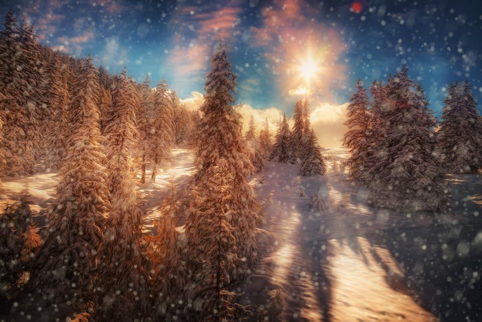 Winter forest with sun rays and snowflakes