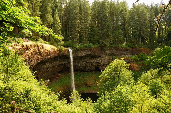 Silver Falls State Park Waterfall in Oregon