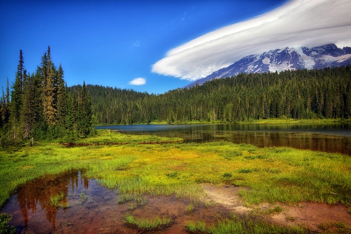 Mount Rainier National Park Lake and Forest