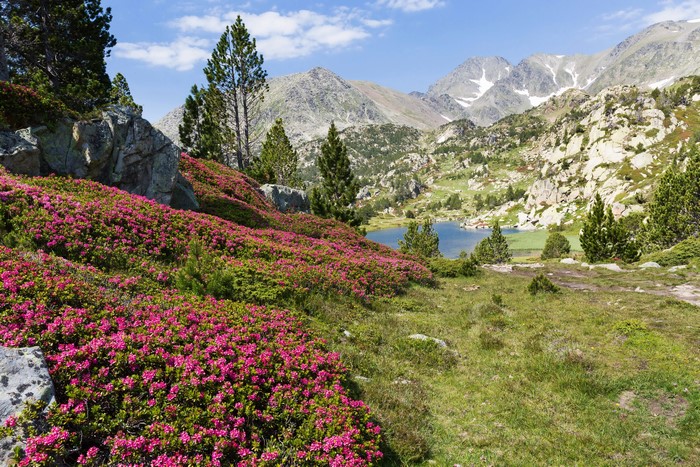 Eastern Pyrenees Mountains Lake France