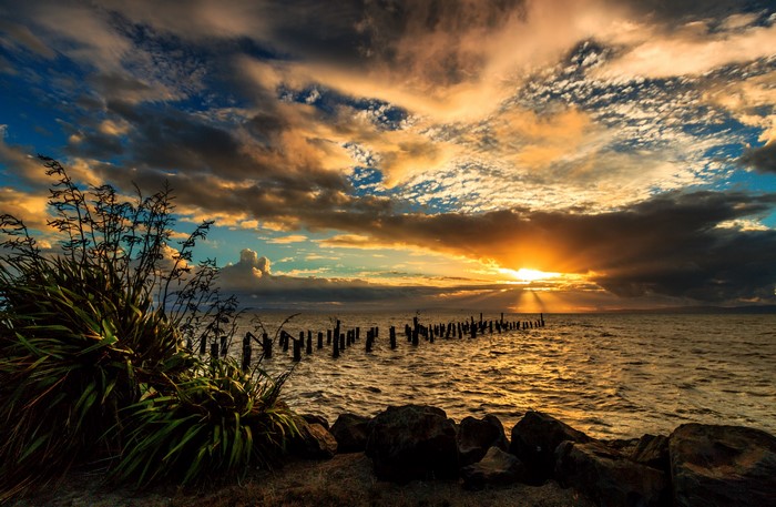Sunset over the sea with old pier and flax plants