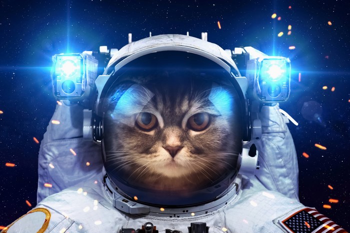 Cat astronaut in space with lights