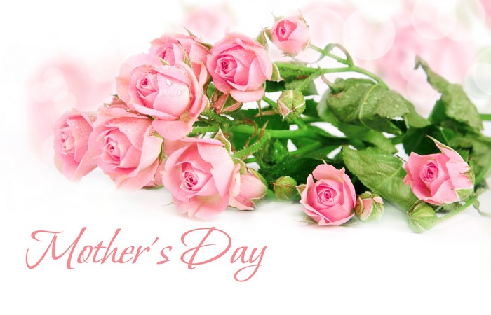 Pink Roses for Mother's Day