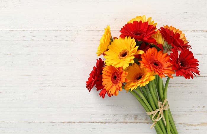 Bouquet of Gerbera Daisies on White Wood