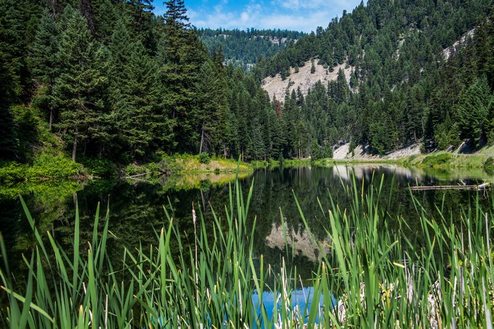 Beaver Lake surrounded by forests in USA