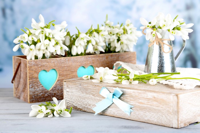 4K Snowdrops in Wooden Box and Metal Pitcher