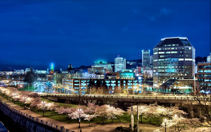 Portland skyline at night with flowering trees and bridge