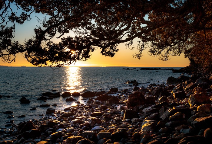 Sunset over Ruamahunga Bay, New Zealand with tree branches