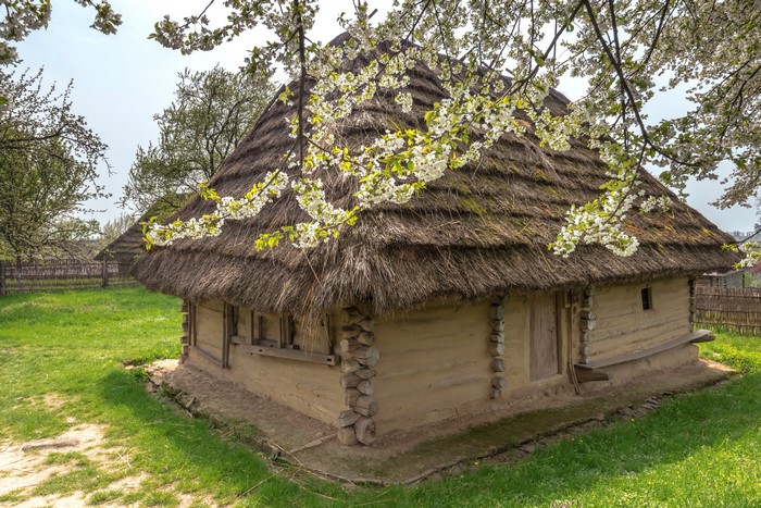 Traditional Ukrainian house with thatched roof and flowering trees