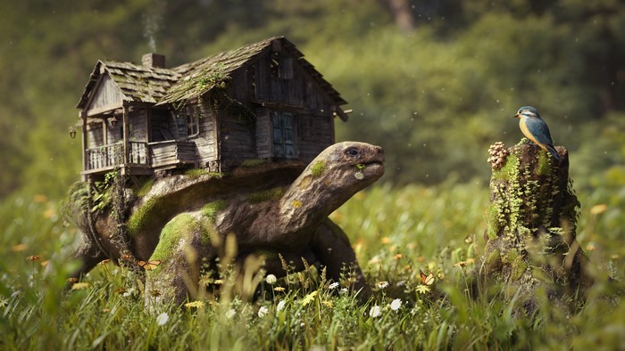4K Turtle House with Bird on Stump