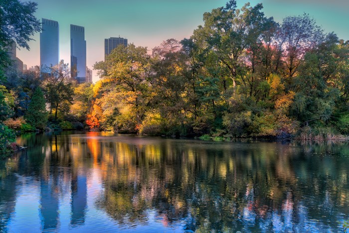 Central Park Lake with NYC Skyline in Autumn