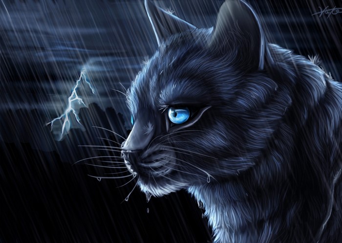 Black cat in the rain with lightning
